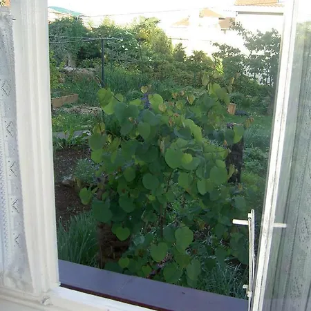 Apartment Apartman Thea Opatija