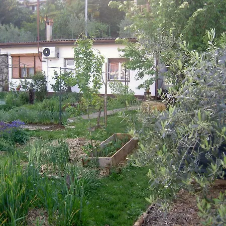 Apartman Thea *